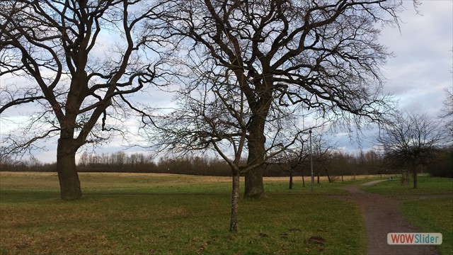 Bild01