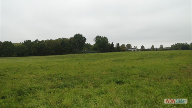 Bild03