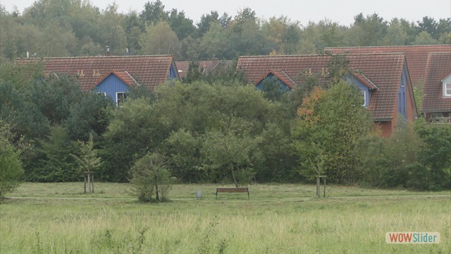 Bild06