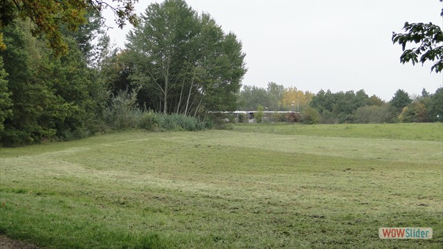 Bild08
