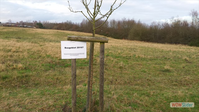 Bild11