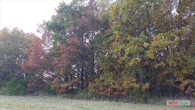 Bild14