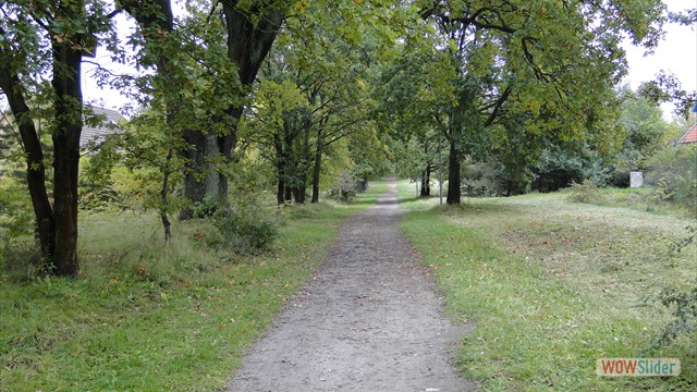 Bild17