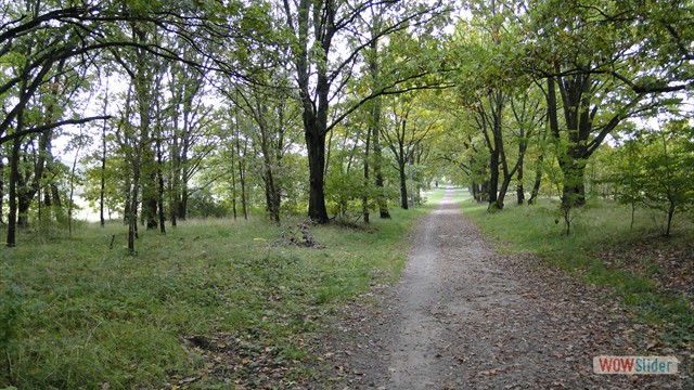 Bild20