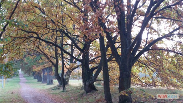Bild24