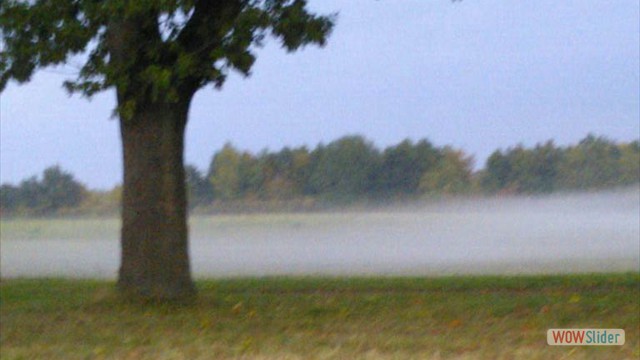 Bild26