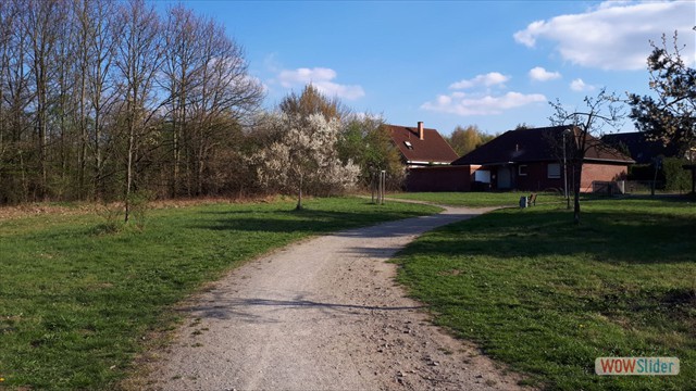 Bild36