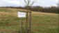 Bild11